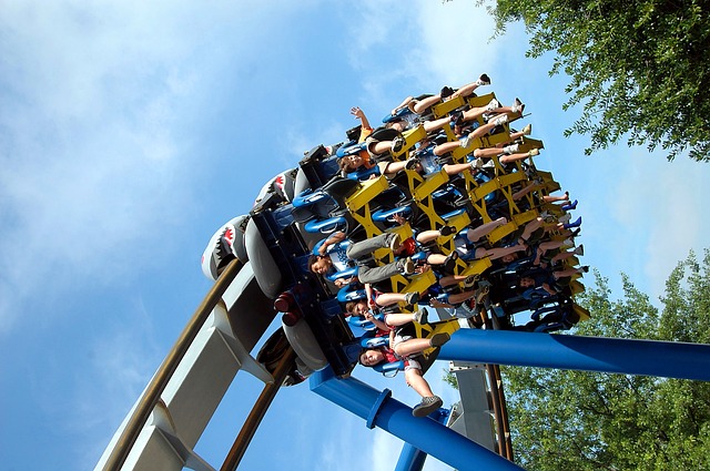 Amusement Park Liability